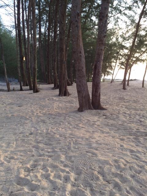 Kho Khao River Sand Eco Resort On The Beach Koh Kho Khao Island Exterior photo